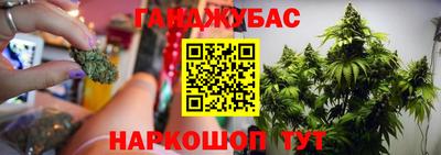 тгк Гусев