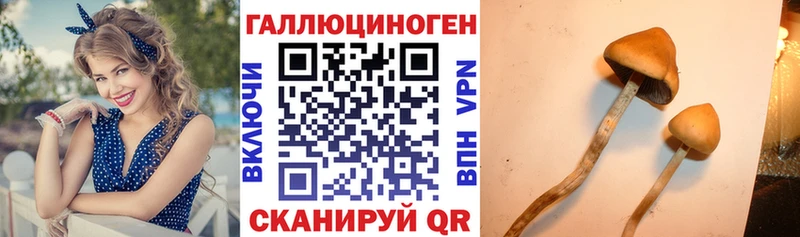 ОМГ ОМГ ONION  Комсомольск-на-Амуре  Псилоцибиновые грибы Cubensis 
