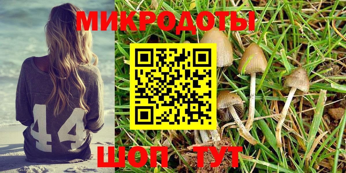 Комсомольск-на-Амуре  Псилоцибиновые грибы Cubensis  Псилоцибиновые грибы Magic Shrooms  Вход с VPN 